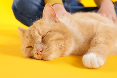 Photo of Little girl with her cute ginger cat on yellow background, closeup