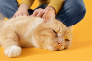 Photo of Little girl with her cute ginger cat on yellow background, closeup