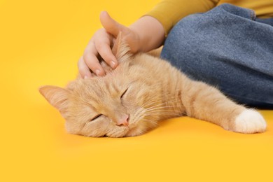 Photo of Little girl with her cute ginger cat on yellow background, closeup