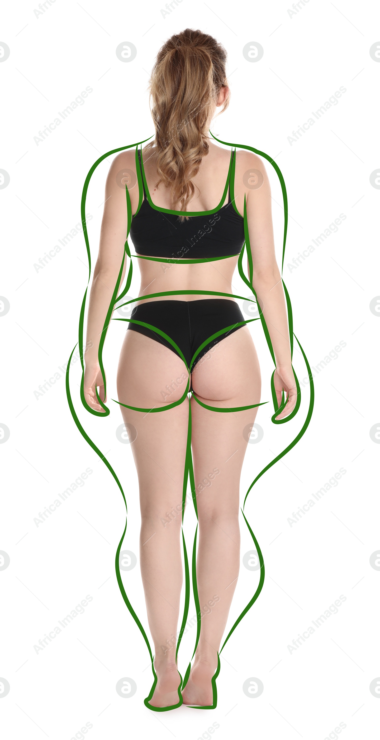 Beautiful woman with fit figure on white background. Lines around her body showing overweight shape before. Healthy lifestyle Image of Beautiful woman with fit figure on white background. Lines around her body showing overweight shape before. Healthy lifestyle