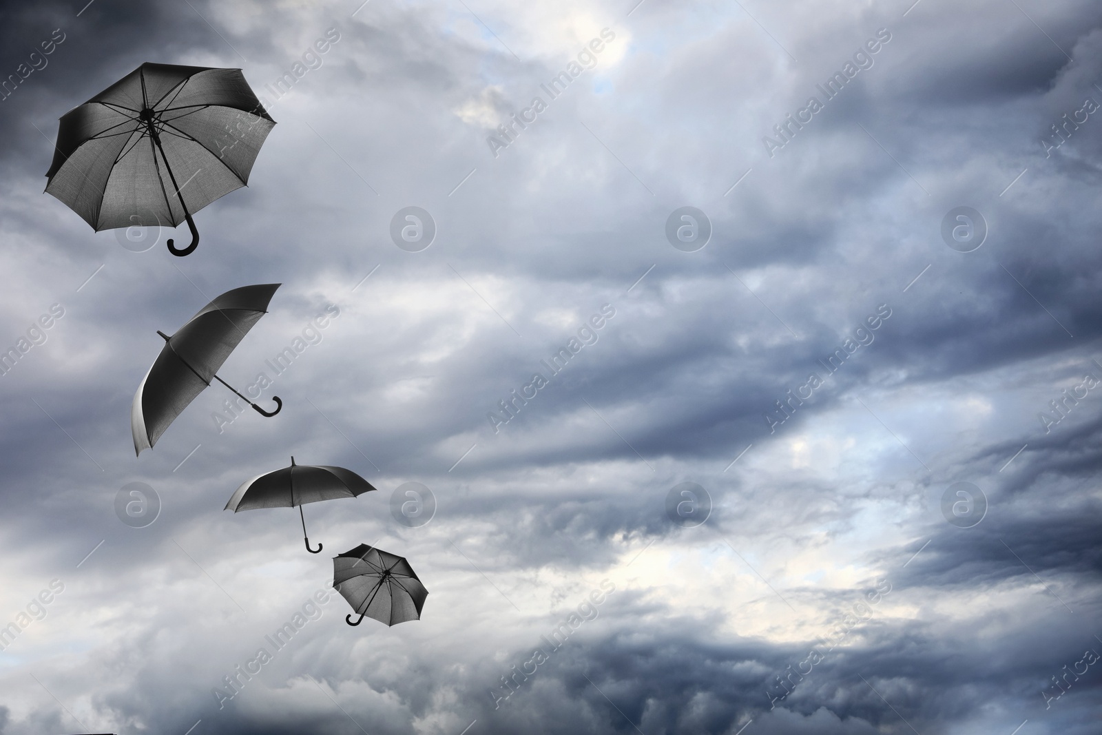 Black umbrellas flying in cloudy sky. Stormy weather Image of Black umbrellas flying in cloudy sky. Stormy weather