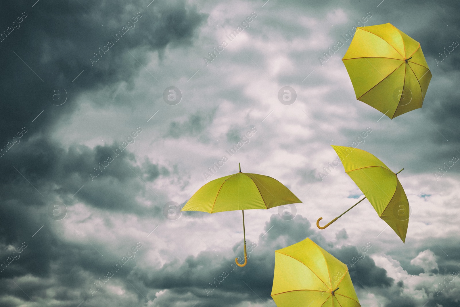 Yellow umbrellas flying in cloudy sky. Stormy weather Image of Yellow umbrellas flying in cloudy sky. Stormy weather