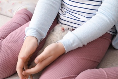 Photo of Little girl with cute white rat on sofa at home, closeup