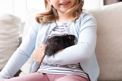 Photo of Little girl with cute black rat on sofa at home, closeup