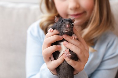 Photo of Little girl with cute black rat on sofa at home, closeup