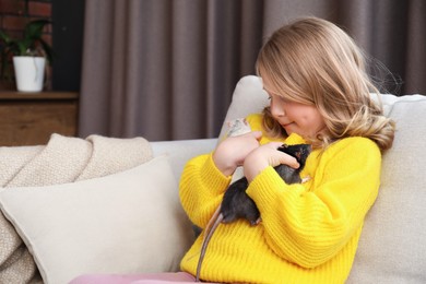 Photo of Little girl with cute rats on sofa at home, space for text