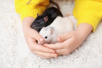 Photo of Little girl with cute rats at home, closeup