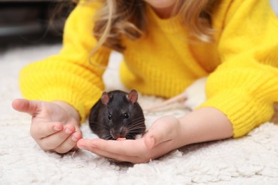 Photo of Little girl with cute black rat at home, closeup