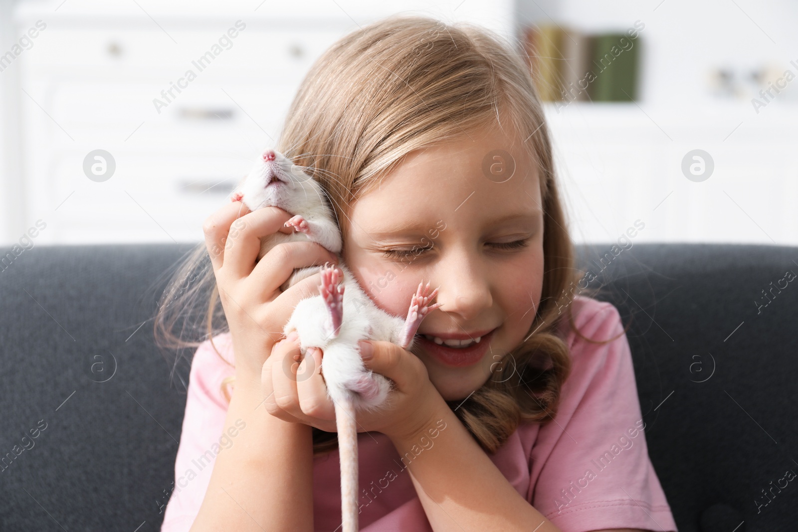 Little girl with cute white rat on sofa at home Photo of Little girl with cute white rat on sofa at home