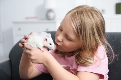 Photo of Little girl with cute white rat on sofa at home