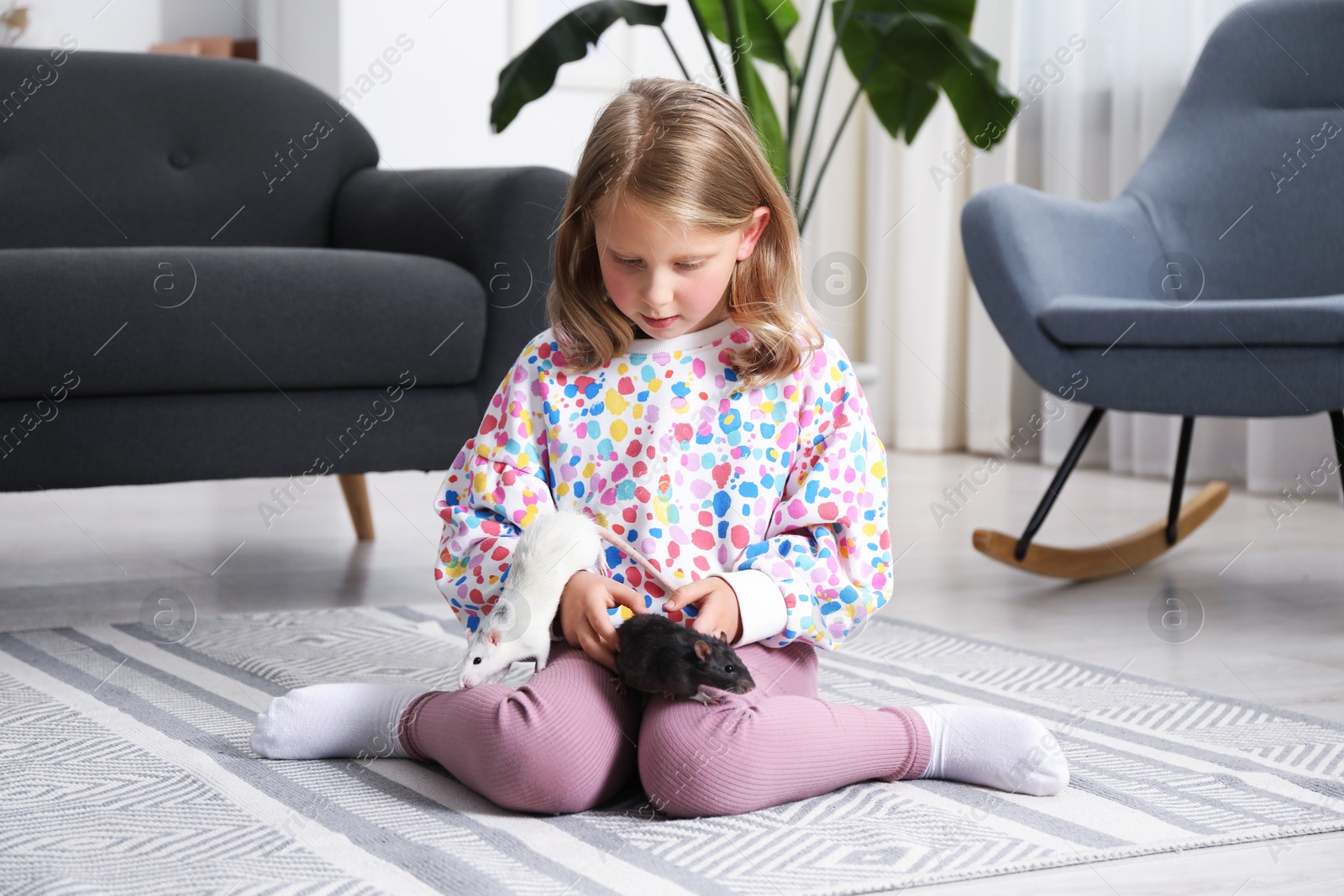 Little girl with cute rats on floor at home Photo of Little girl with cute rats on floor at home