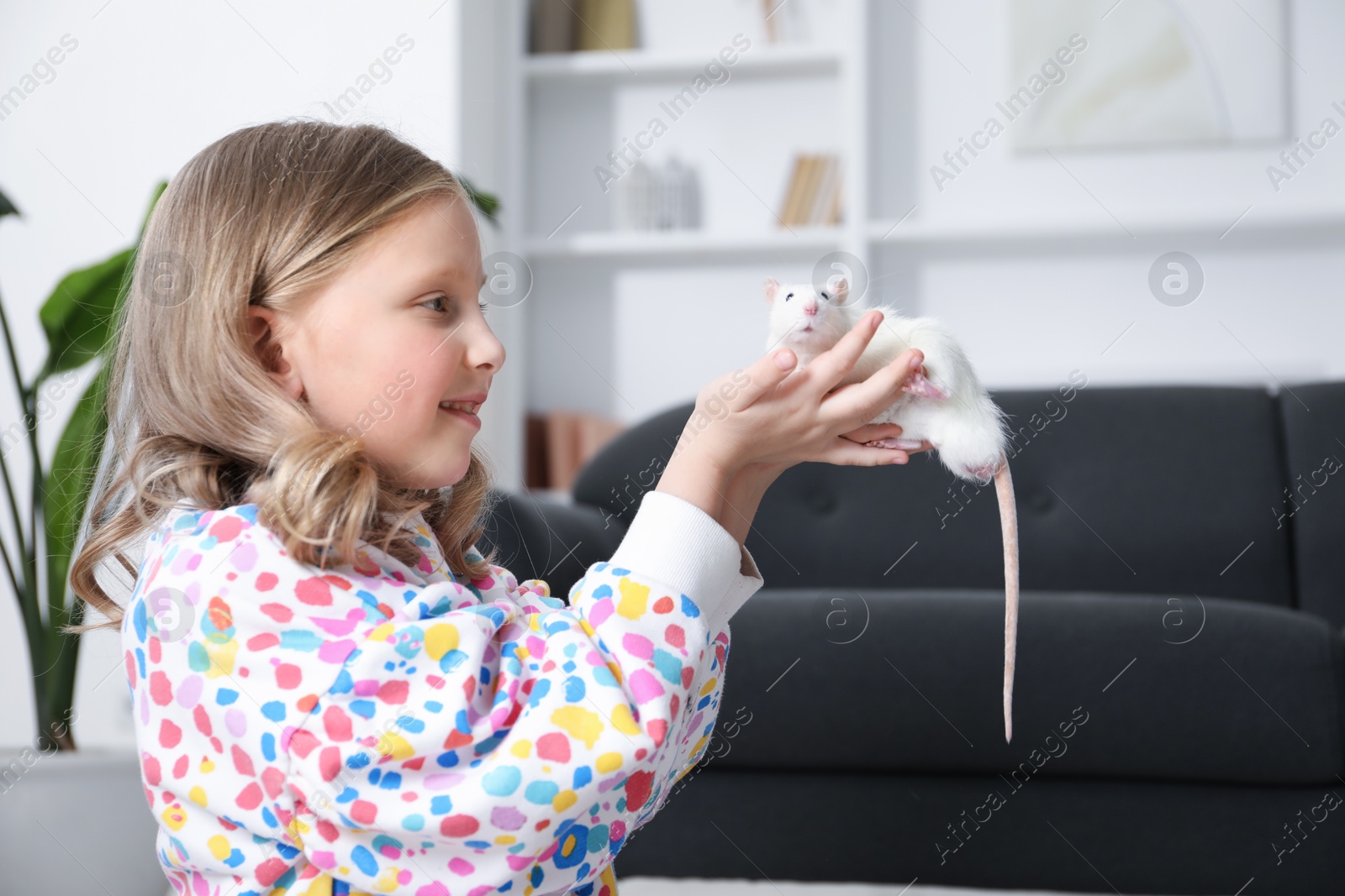 Little girl with cute white rat at home Photo of Little girl with cute white rat at home