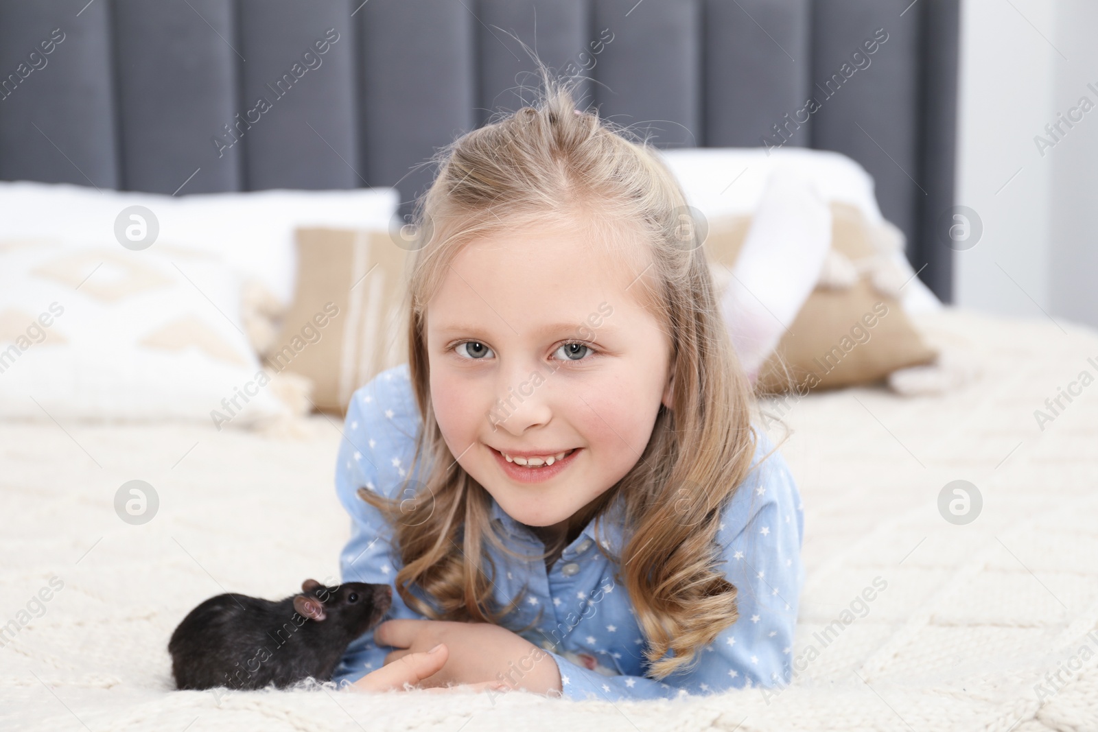 Little girl with cute black rat on bed at home Photo of Little girl with cute black rat on bed at home