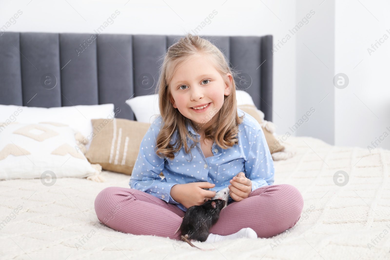 Little girl with cute rats on bed at home Photo of Little girl with cute rats on bed at home