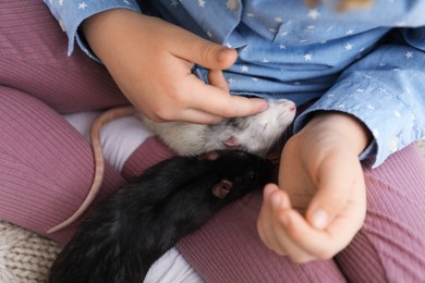 Photo of Little girl with cute rats at home, closeup