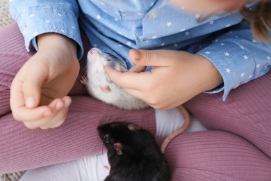 Photo of Little girl with cute rats at home, closeup