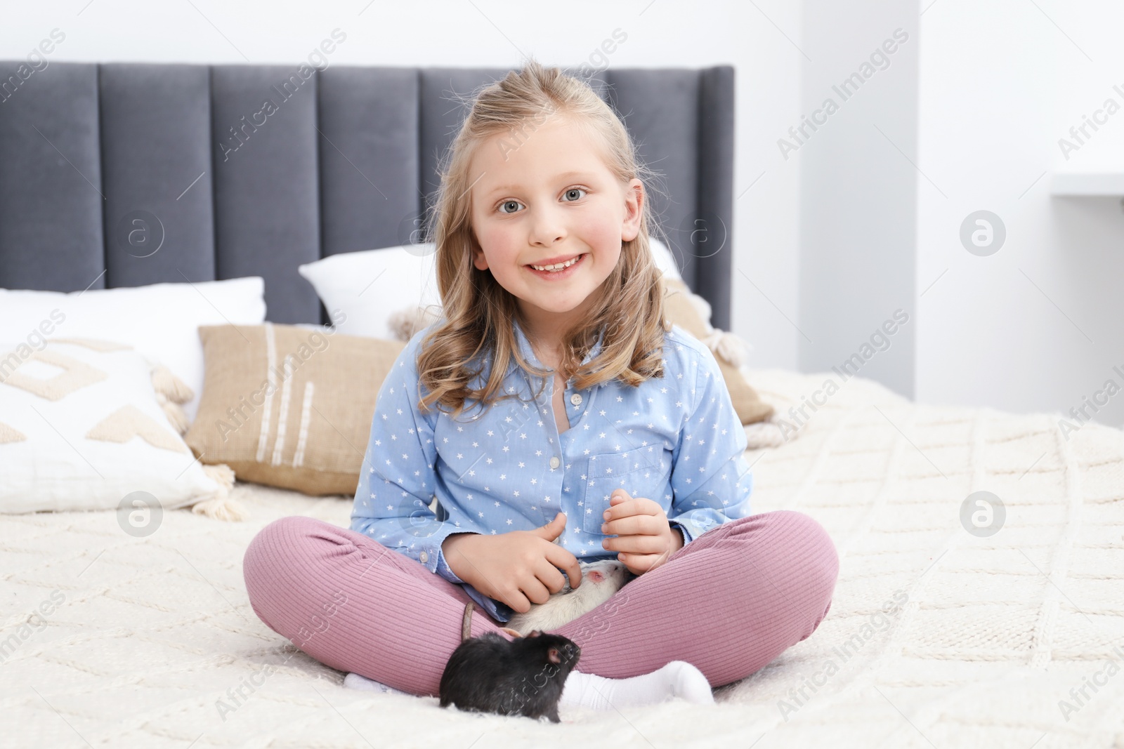 Little girl with cute rats on bed at home Photo of Little girl with cute rats on bed at home