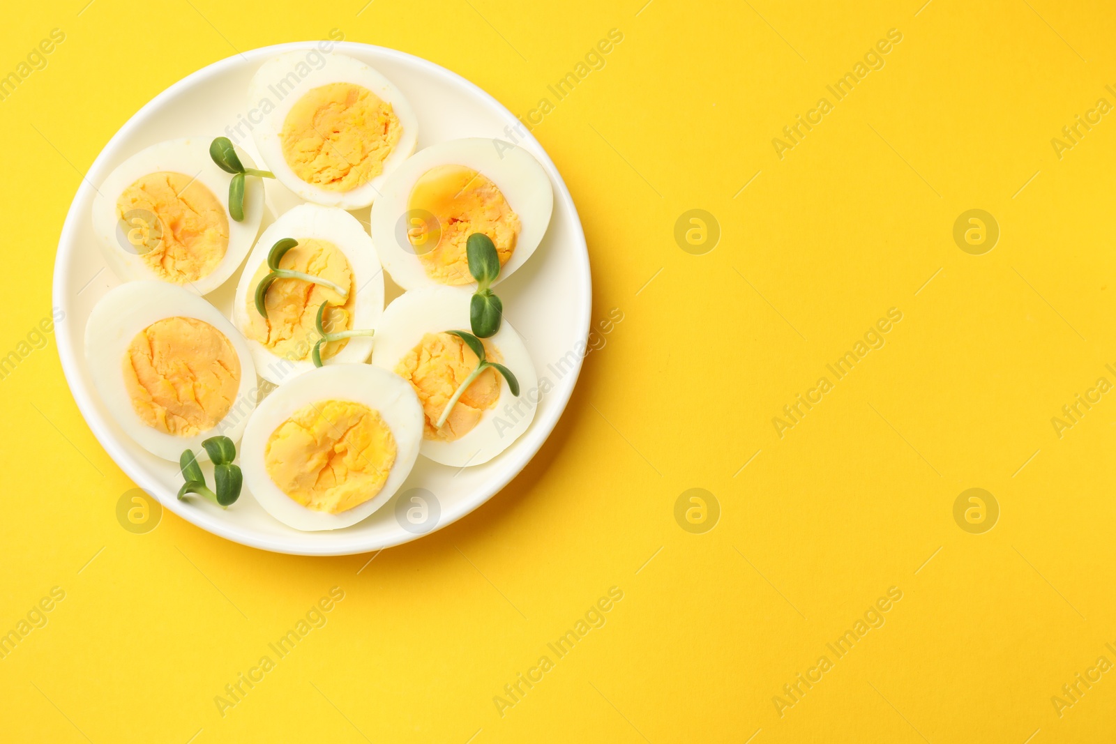 Halves of hard boiled eggs with microgreens on yellow background, top view. Space for text Photo of Halves of hard boiled eggs with microgreens on yellow background, top view. Space for text