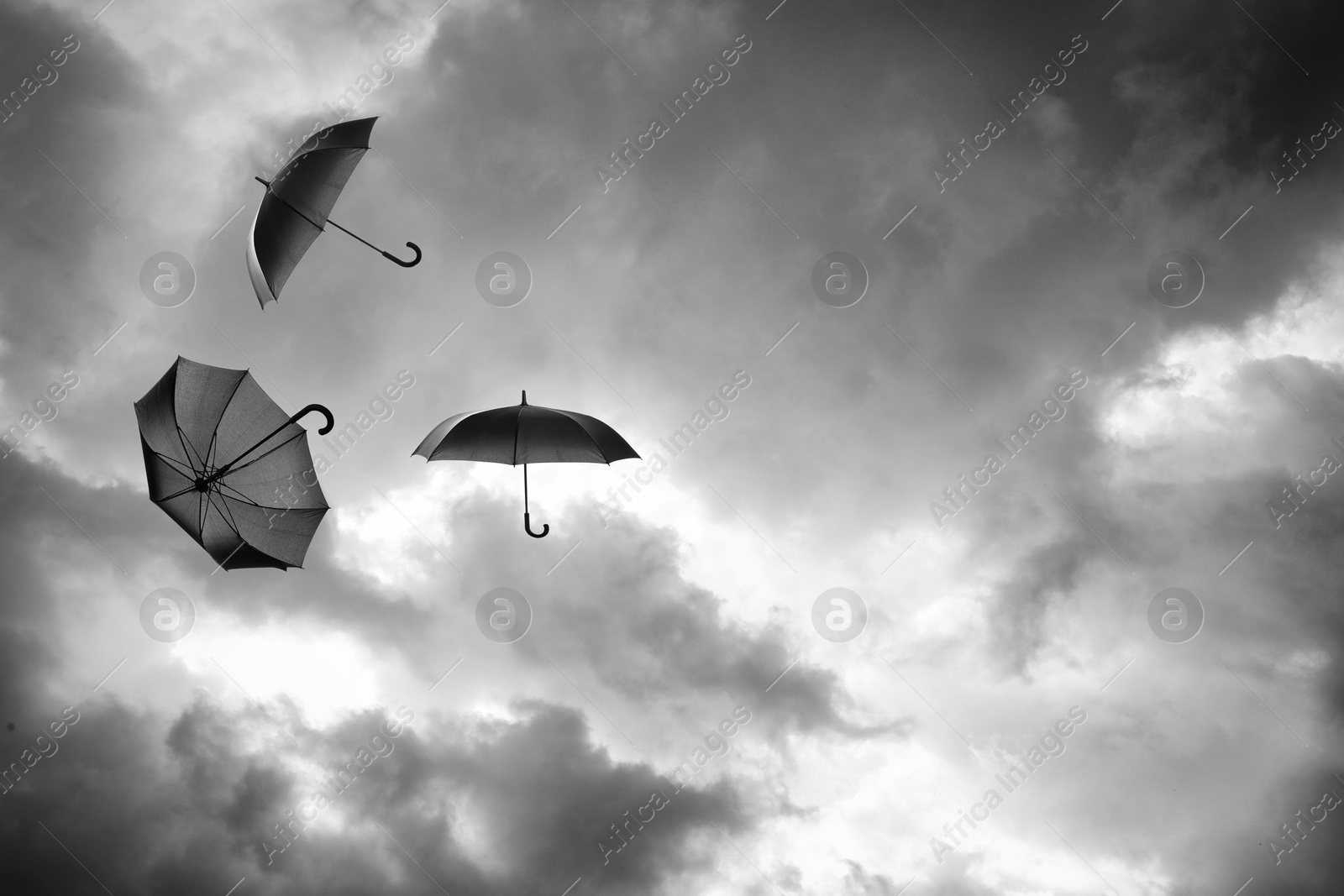 Black umbrellas flying in cloudy sky. Stormy weather Image of Black umbrellas flying in cloudy sky. Stormy weather