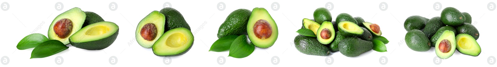 Fresh avocado fruits isolated on white, set Image of Fresh avocado fruits isolated on white, set