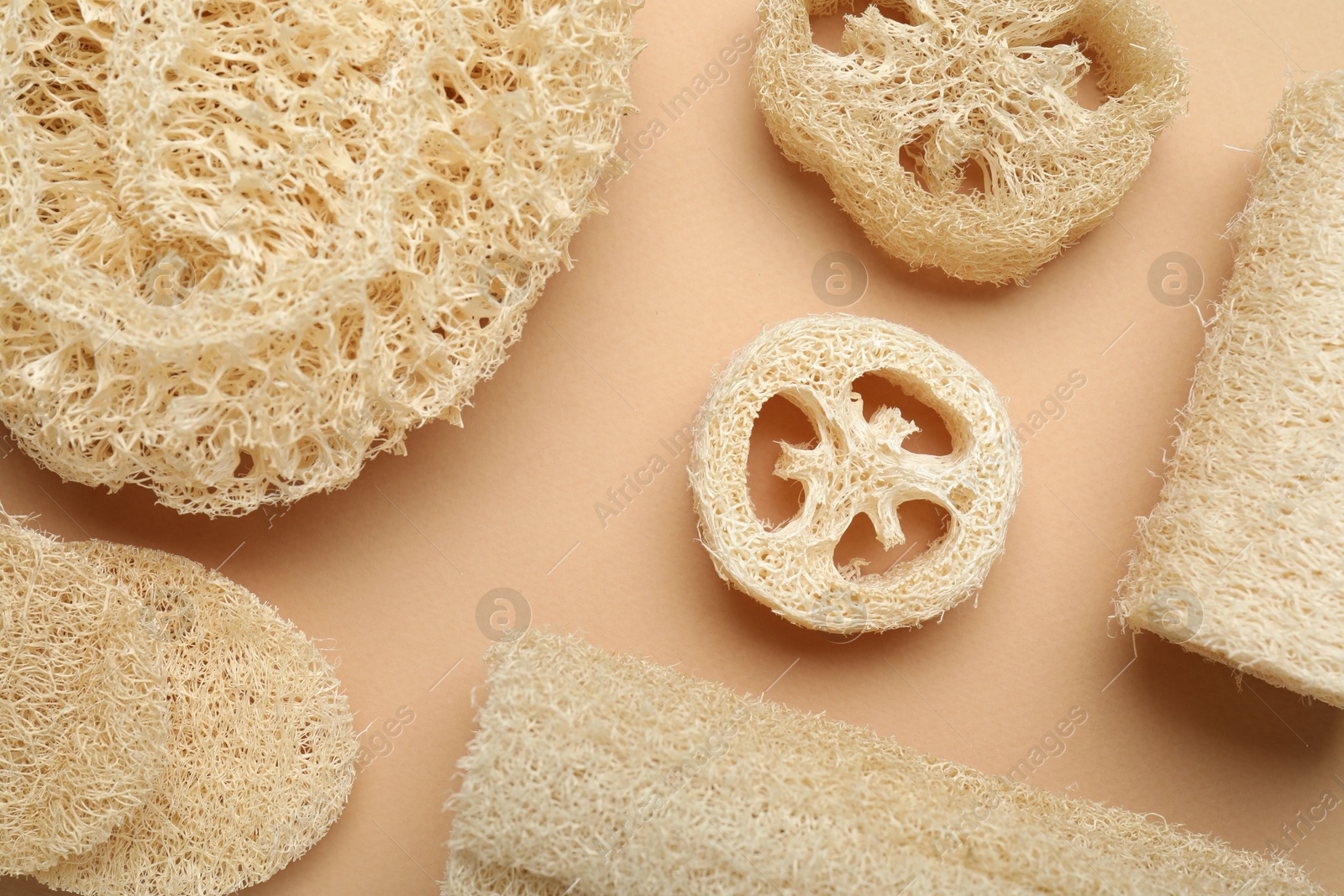 Natural loofah sponges on beige background, flat lay Photo of Natural loofah sponges on beige background, flat lay