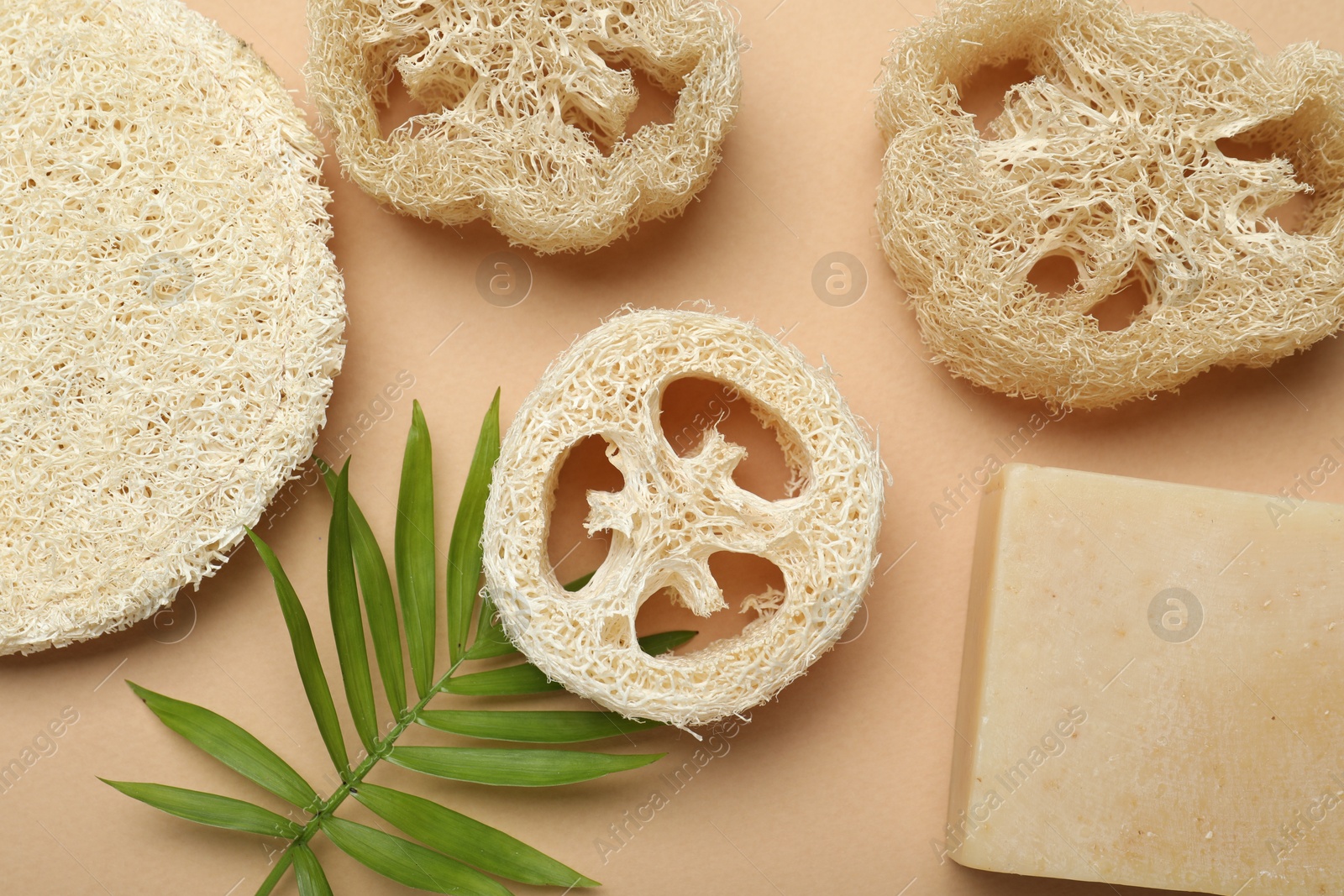 Natural loofah sponges, soap and green twig on beige background, flat lay Photo of Natural loofah sponges, soap and green twig on beige background, flat lay