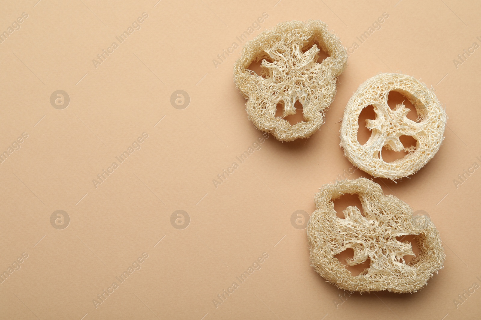 Natural loofah sponges on beige background, flat lay. Space for text Photo of Natural loofah sponges on beige background, flat lay. Space for text