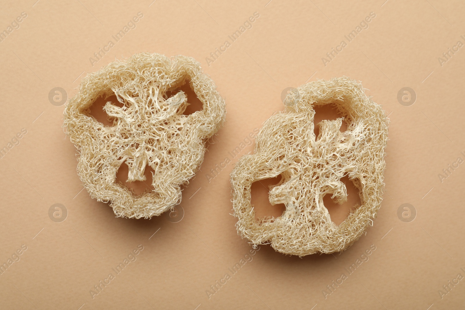 Natural loofah sponges on beige background, flat lay Photo of Natural loofah sponges on beige background, flat lay