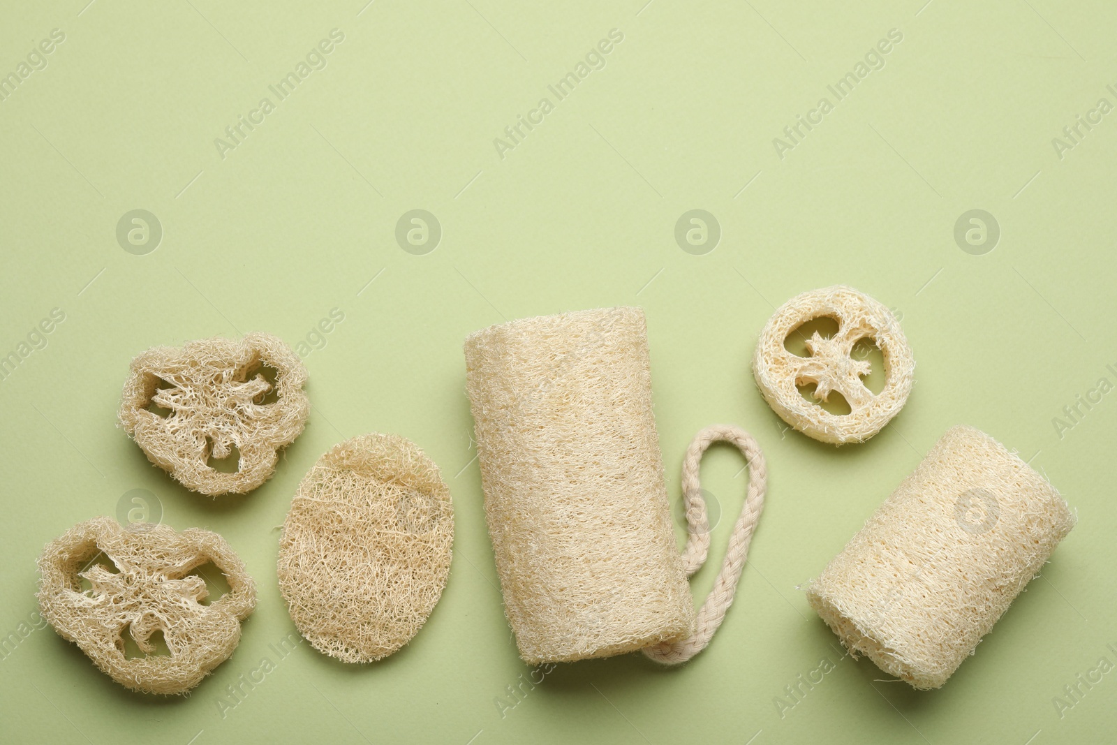 Natural loofah sponges on green background, flat lay. Space for text Photo of Natural loofah sponges on green background, flat lay. Space for text