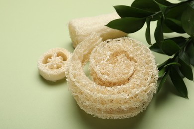 Photo of Natural loofah sponges and leaves on green background, closeup