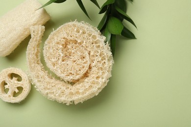 Photo of Natural loofah sponges and leaves on green background, flat lay. Space for text
