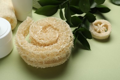 Photo of Natural loofah sponges, cosmetic products and leaves on green background, closeup