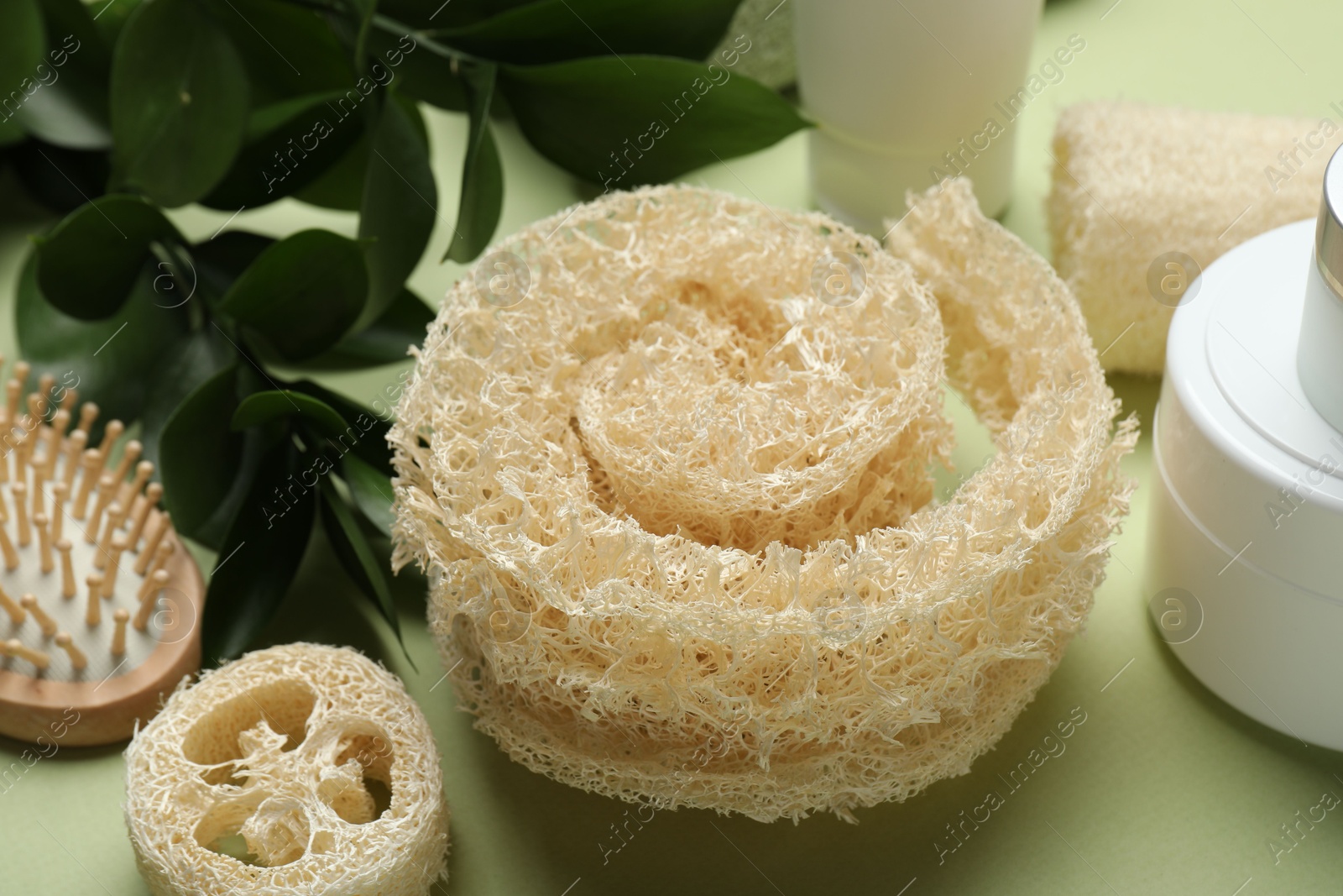 Natural loofah sponges, cosmetic products, brush and leaves on green background, closeup Photo of Natural loofah sponges, cosmetic products, brush and leaves on green background, closeup