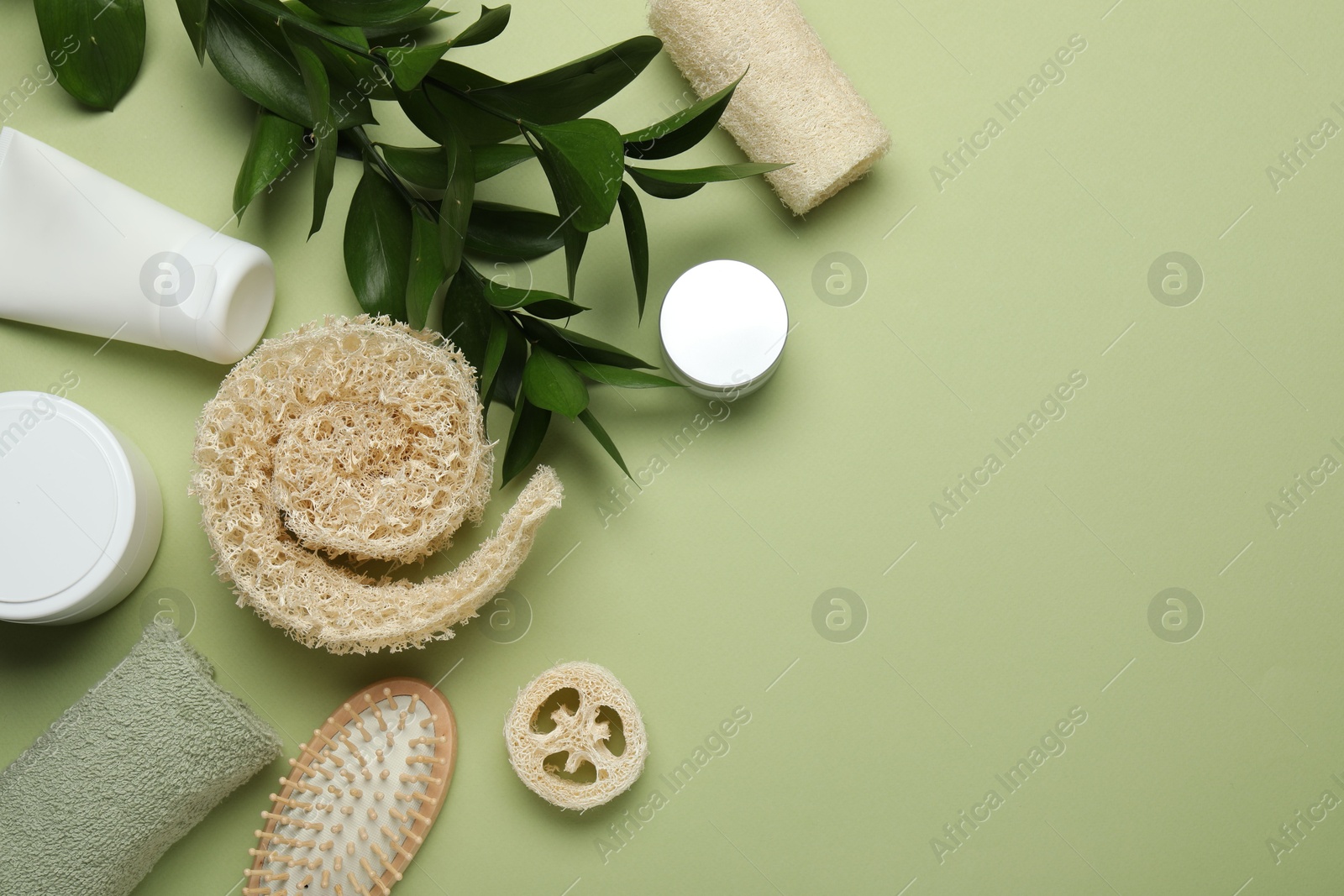 Natural loofah sponges, cosmetic products, brush, towel and leaves on green background, flat lay. Space for text Photo of Natural loofah sponges, cosmetic products, brush, towel and leaves on green background, flat lay. Space for text