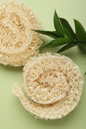 Photo of Natural loofah sponges and leaves on green background, flat lay