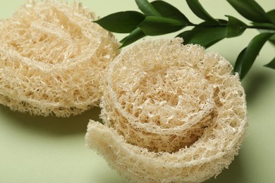 Photo of Natural loofah sponges and leaves on green background, closeup