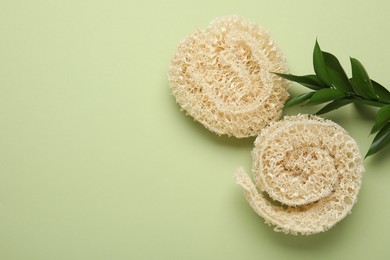 Photo of Natural loofah sponges and leaves on green background, flat lay. Space for text