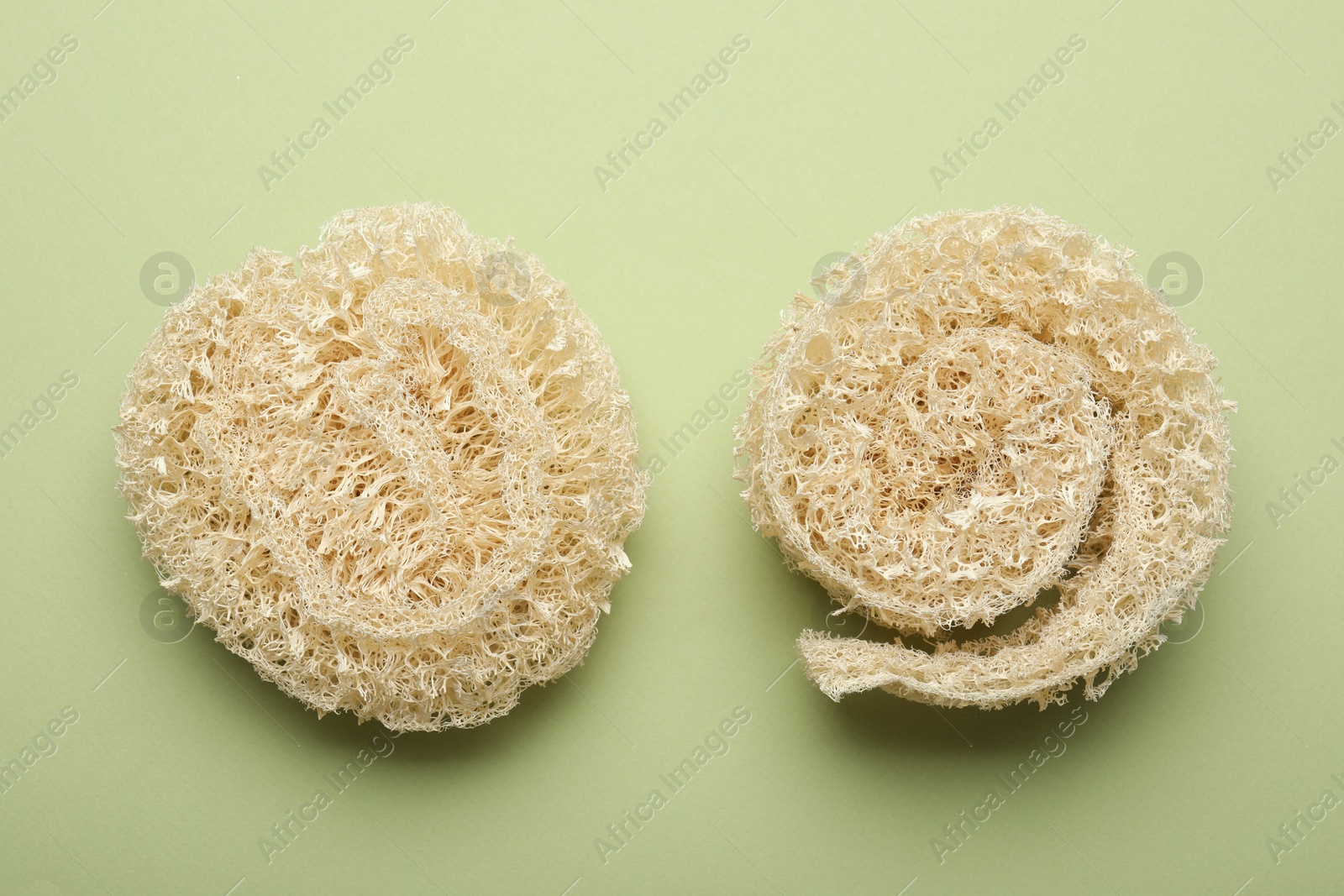 Natural loofah sponges on green background, flat lay Photo of Natural loofah sponges on green background, flat lay