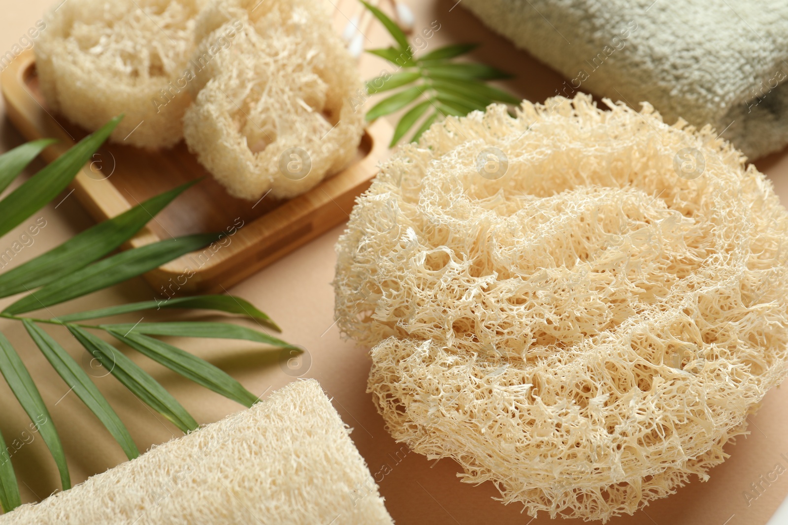 Natural loofah sponges, towel and twigs on beige background, closeup Photo of Natural loofah sponges, towel and twigs on beige background, closeup
