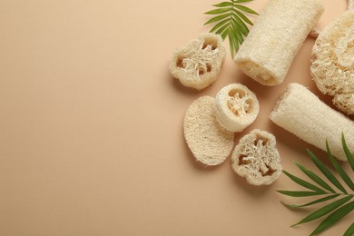 Photo of Natural loofah sponges and green twigs on beige background, flat lay. Space for text
