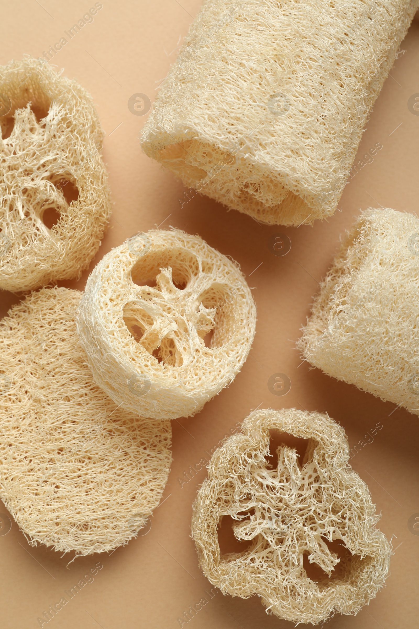 Natural loofah sponges on beige background, flat lay Photo of Natural loofah sponges on beige background, flat lay