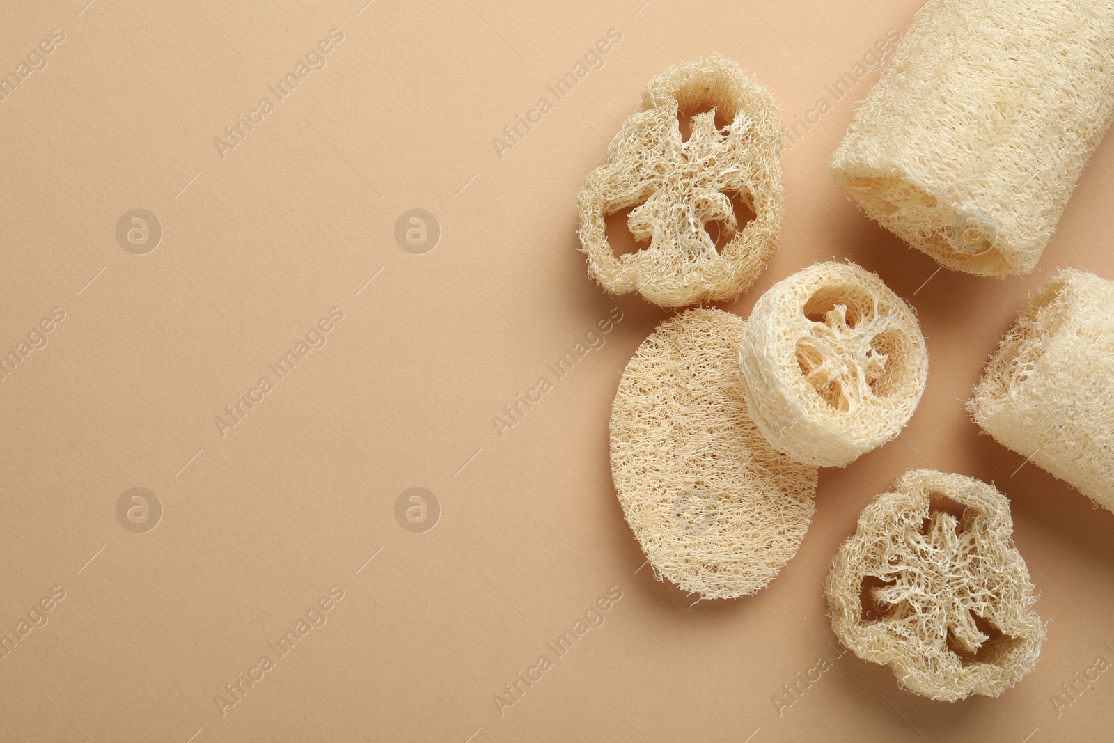 Natural loofah sponges on beige background, flat lay. Space for text Photo of Natural loofah sponges on beige background, flat lay. Space for text
