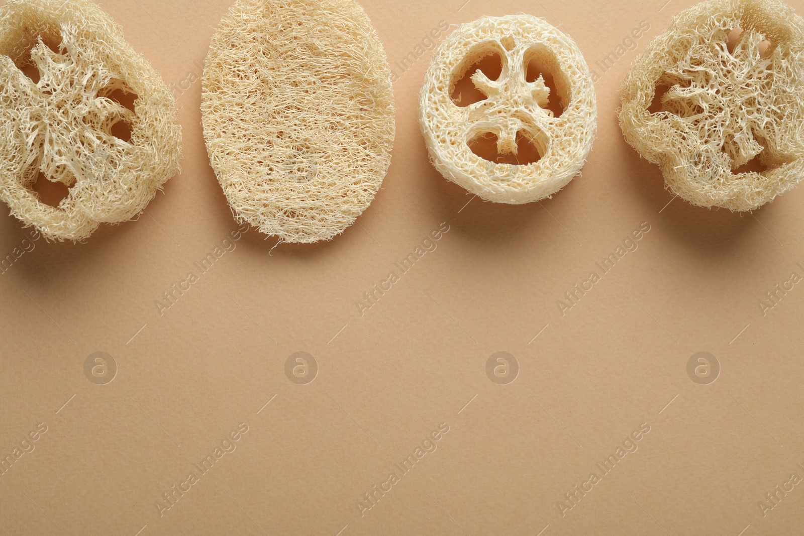 Natural loofah sponges on beige background, flat lay. Space for text Photo of Natural loofah sponges on beige background, flat lay. Space for text