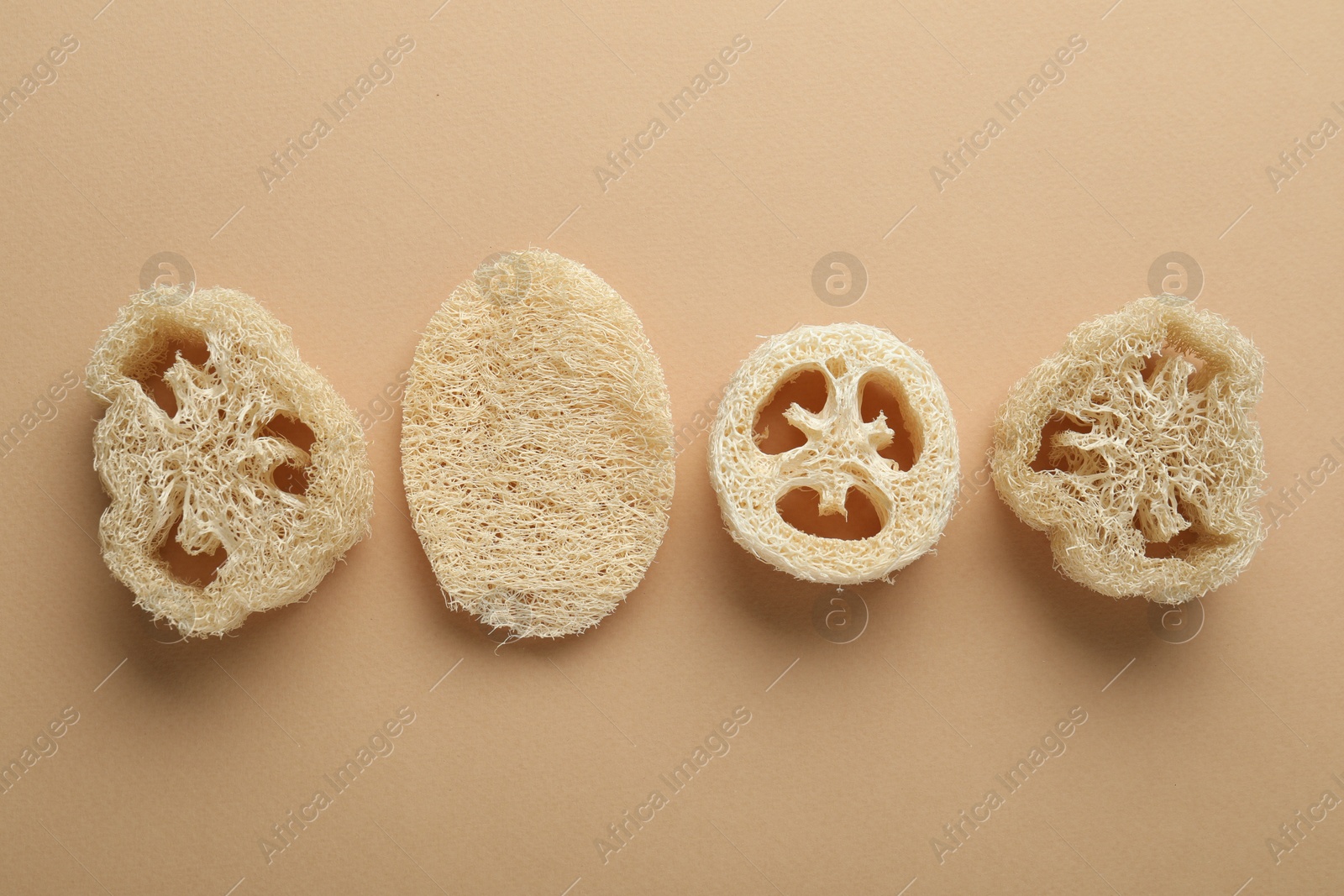 Natural loofah sponges on beige background, flat lay Photo of Natural loofah sponges on beige background, flat lay