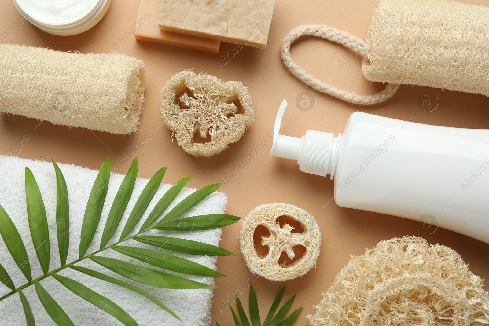 Natural loofah sponges, cosmetic products, towel and twigs on beige background, flat lay Photo of Natural loofah sponges, cosmetic products, towel and twigs on beige background, flat lay