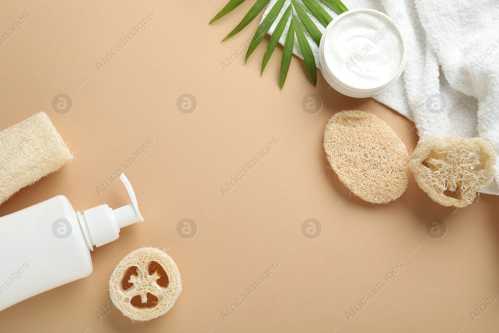 Natural loofah sponges, cosmetic products, towel and twig on beige background, flat lay. Space for text Photo of Natural loofah sponges, cosmetic products, towel and twig on beige background, flat lay. Space for text