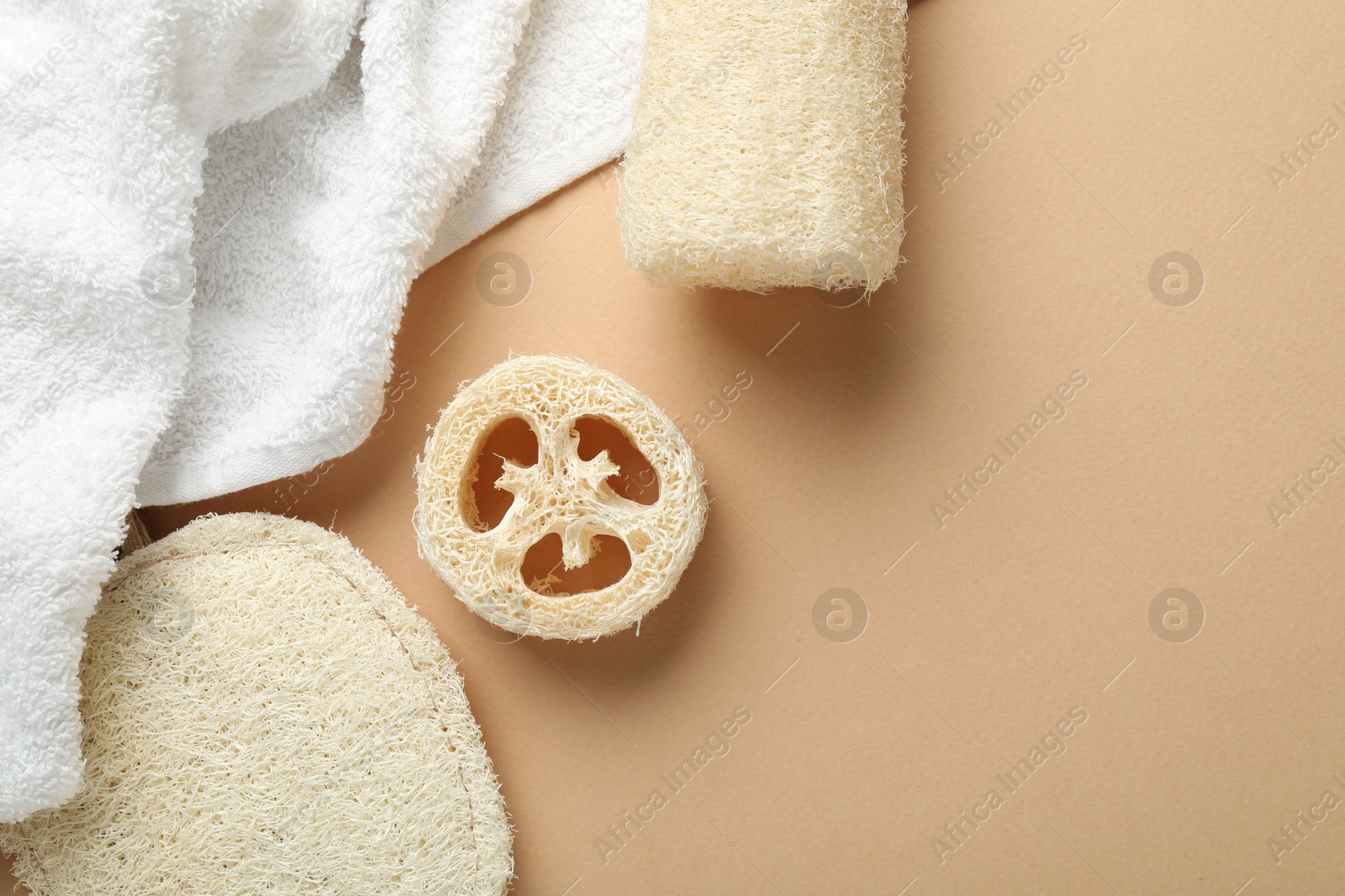 Natural loofah sponges and towel on beige background, flat lay. Space for text Photo of Natural loofah sponges and towel on beige background, flat lay. Space for text