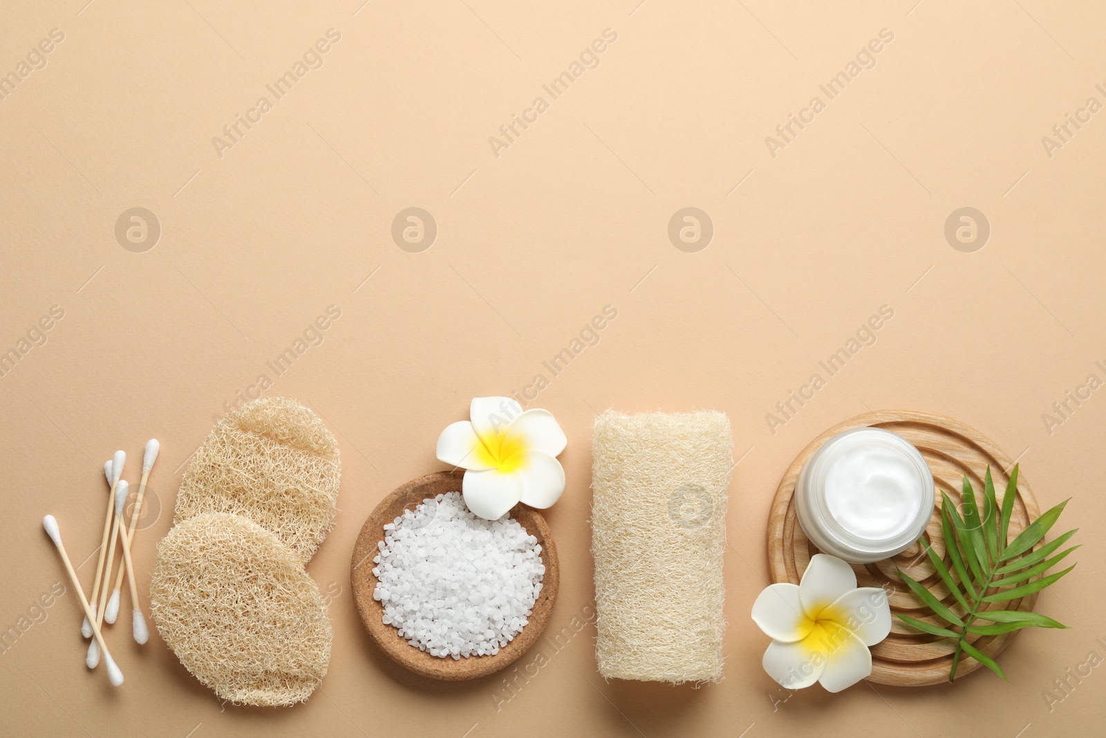 Natural loofah sponges, cosmetic product, sea salt, swabs, plumeria flowers and green twig on beige background, flat lay. Space for text Photo of Natural loofah sponges, cosmetic product, sea salt, swabs, plumeria flowers and green twig on beige background, flat lay. Space for text