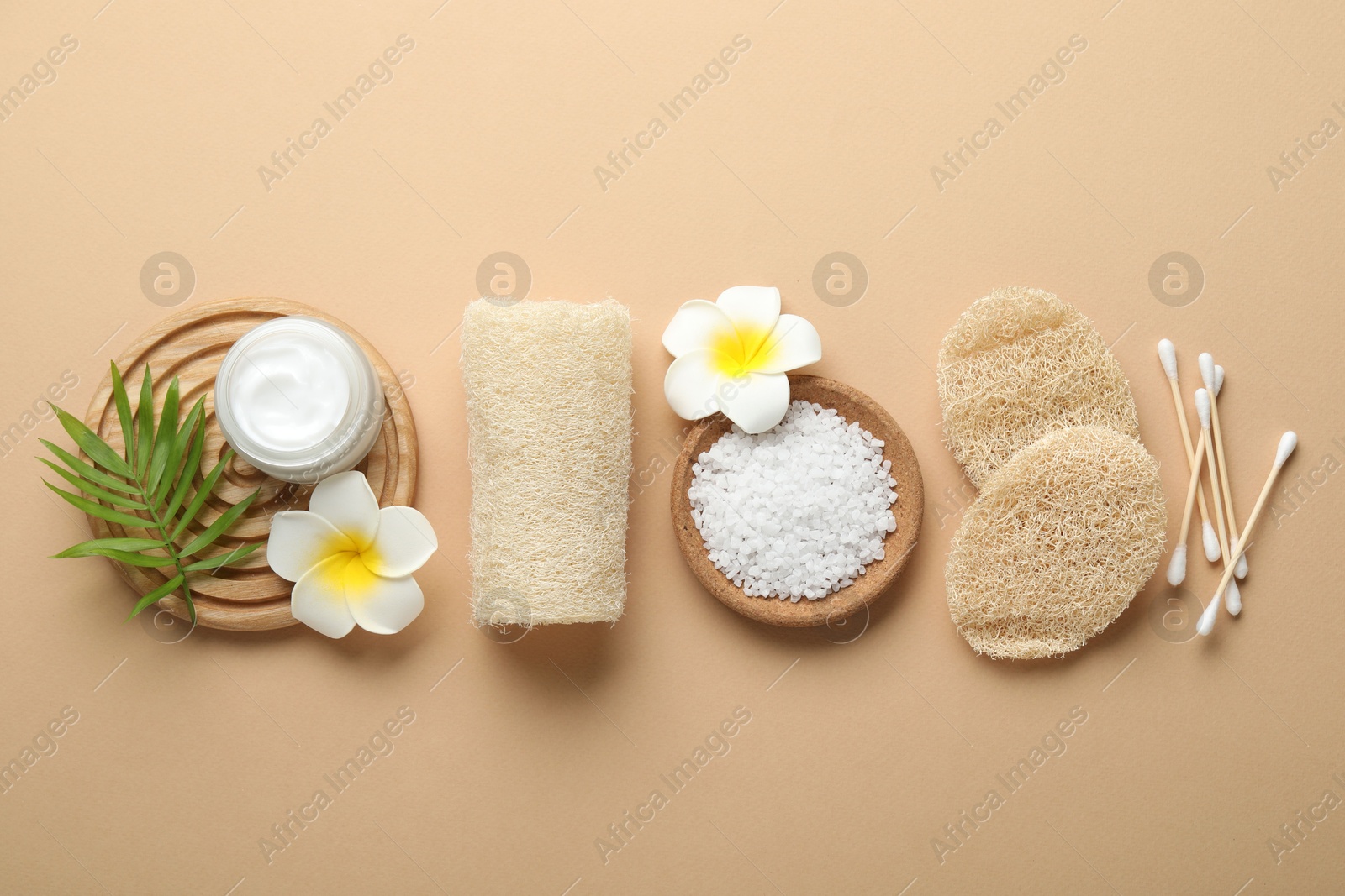 Natural loofah sponges, cosmetic product, sea salt, swabs, plumeria flowers and green twig on beige background, flat lay Photo of Natural loofah sponges, cosmetic product, sea salt, swabs, plumeria flowers and green twig on beige background, flat lay