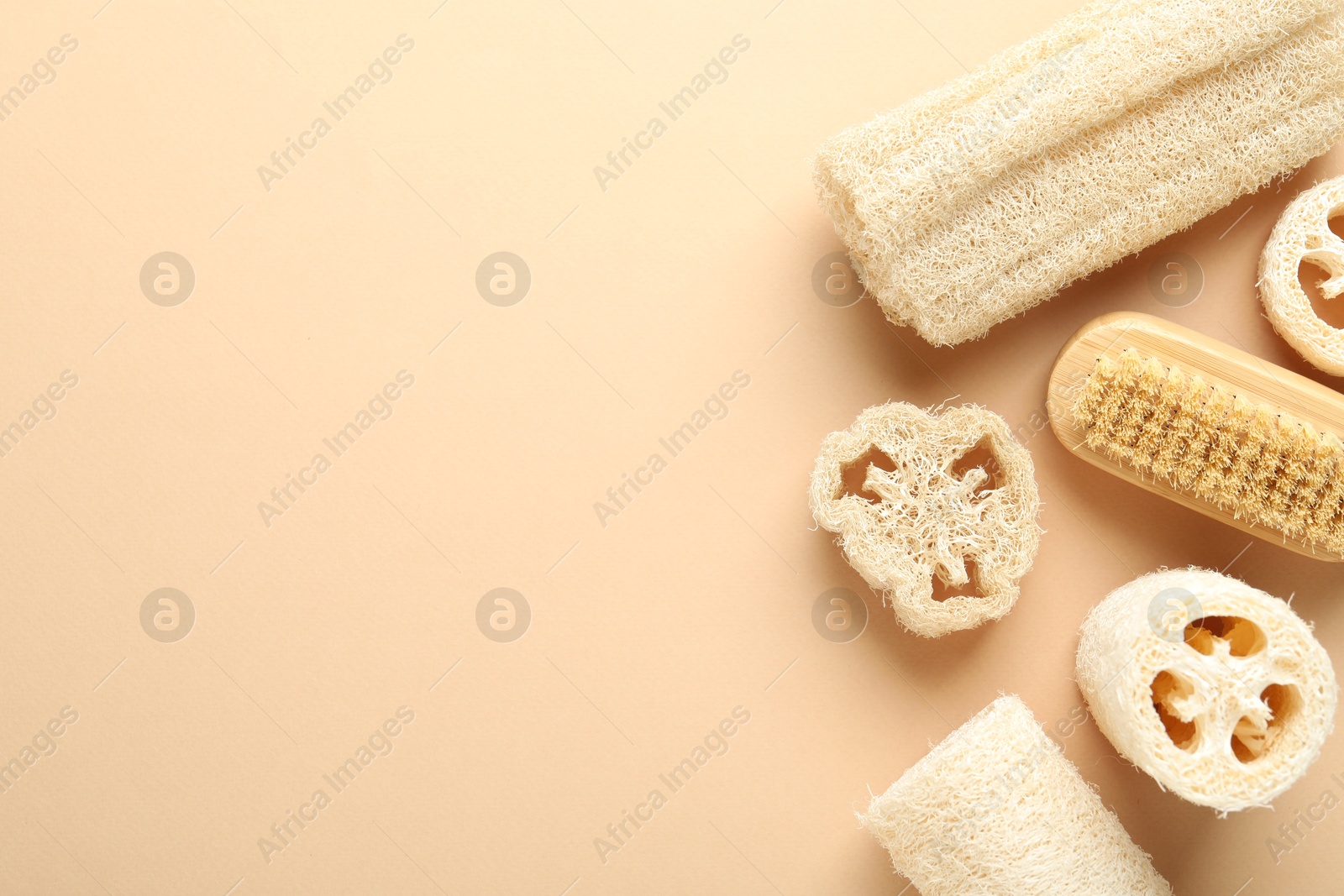 Natural loofah sponges and brush on beige background, flat lay. Space for text Photo of Natural loofah sponges and brush on beige background, flat lay. Space for text
